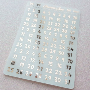 Clear foil Date Dots, Date Dot Planner Stickers, Clear Overlays, Calendar Stickers, Foiled Number Stickers, Foil Date Covers, RS007