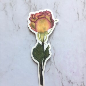Vinilo Sticker Acuarela Rosa y Rosa Amarilla / Botanical Art Sticker / Floral Sticker / Watercolor Artist Sticker / Back To School