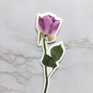 Pegatina de vinilo de acuarela rosa rosa / Pegatina de arte botánico / Pegatina floral / Pegatina de artista de acuarela / Regreso a la escuela
