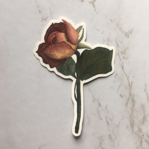 Vinilo Sticker Watercolor Mauve Red Rose / Botanical Art Sticker / Floral Sticker / Watercolor Artist Sticker / Back To School