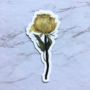 Pegatina de vinilo mate Acuarela Rosa amarilla / Pegatina de arte botánico / Pegatina floral / Pegatina de artista de acuarela / Regreso a la escuela