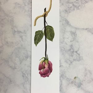 Segnalibro rosa appeso / Segnalibro floreale / Segnalibro fiore / Segnalibro rosa / Segnalibro di carta / Segnalibro rosa essiccata / Regali per i lettori