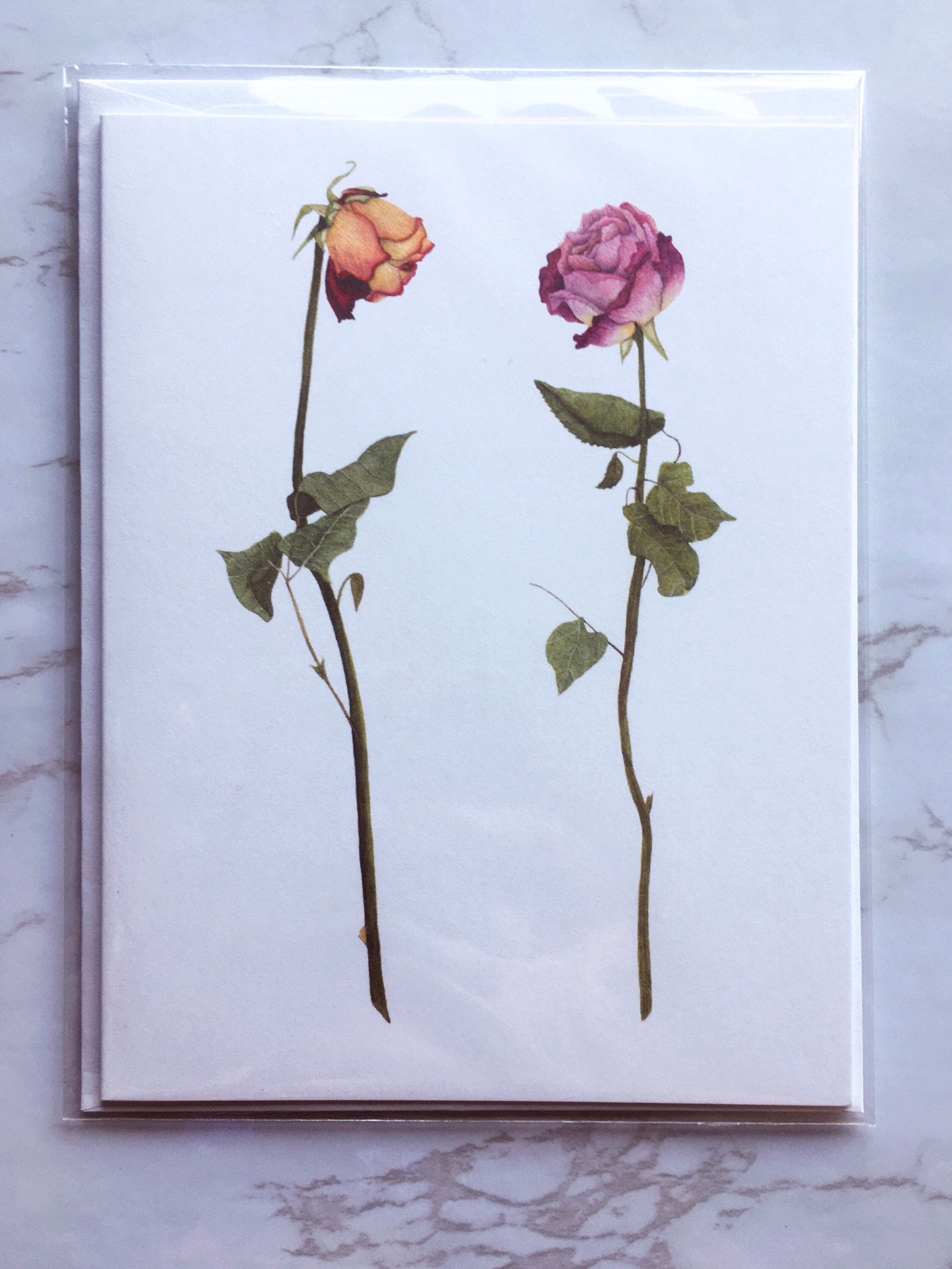 Pink Roses Watercolor Greeting Card Set | Watercolor Floral Notecards ...