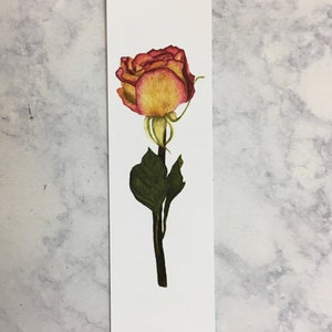 Segnalibro di carta con rose floreali / Segnalibro di rose secche / Segnalibro di fiori / Segnalibro botanico / Regali per i lettori / Segnalibro di rose secche