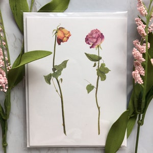 Floral Aquarell Rose Grußkarte |  Rosen Note Karten | Leere Blumenkarten | Rosa und Orange Rose Notecards | Botanische Illustration Karte