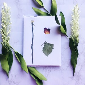 Floral Watercolor Rose Petal Greeting Card |  Roses Note Cards | Blank Flower Cards | Red Rose Notecards | Botanical Illustration Card