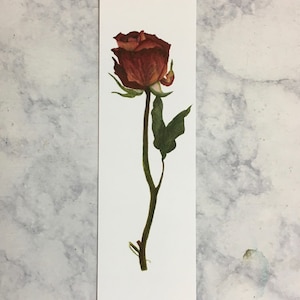 Red Rose Bookmark | Dried Rose Bookmark | Flower Bookmark | Book Lover | Gifts for Readers | Dried Roses Bookmark