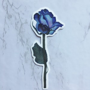Vinyl Sticker Aquarell Blau Rose | Botanischer Kunst Sticker | Floraler Sticker | Aquarell Künstler Sticker | Zurück zur Schule