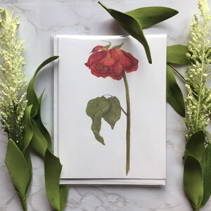 Blank Greeting Card with Orange Watercolor Rose |  Roses Note Cards | Blank Flower Cards | Botanical Illustration Card | Flower Cards