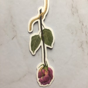 Vinilo Pegatina Acuarela Rosa Azul / Pegatina de Arte Botánico / Pegatina Floral / Pegatina de Artista de Acuarela / Regreso a la Escuela
