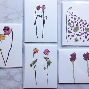 Pink Roses Watercolor Greeting Card Set | Watercolor Floral Notecards | Blank Floral Notecards | Dried Flower Cards Flower