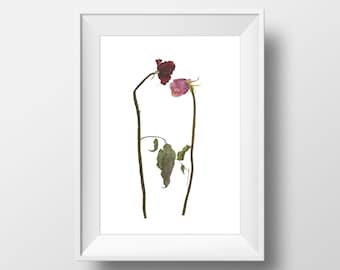 Rose Watercolor Art Print | Dried Roses Artwork | Dried Roses Painting | Watercolor Floral Artwork | Pink Roses Art