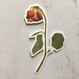 Vinilo Sticker Acuarela Rojo y Amarillo Rosa / Botanical Art Sticker / Floral Sticker / Watercolor Artist Sticker / Back To School
