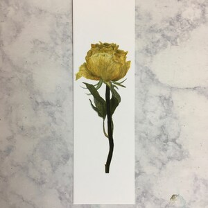 Yellow Rose Bookmark | Dried Rose Bookmark | Flower Bookmark | Book Lover | Gifts for Readers | Dried Roses Bookmark