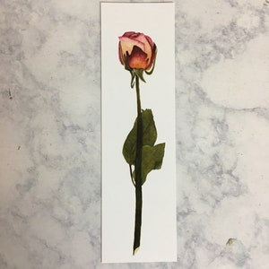 Segnalibro rosa rosa / Segnalibro rosa essiccata / Segnalibro fiore / Amante dei libri / Regali per i lettori / Segnalibro rose essiccate / Segnalibro botanico