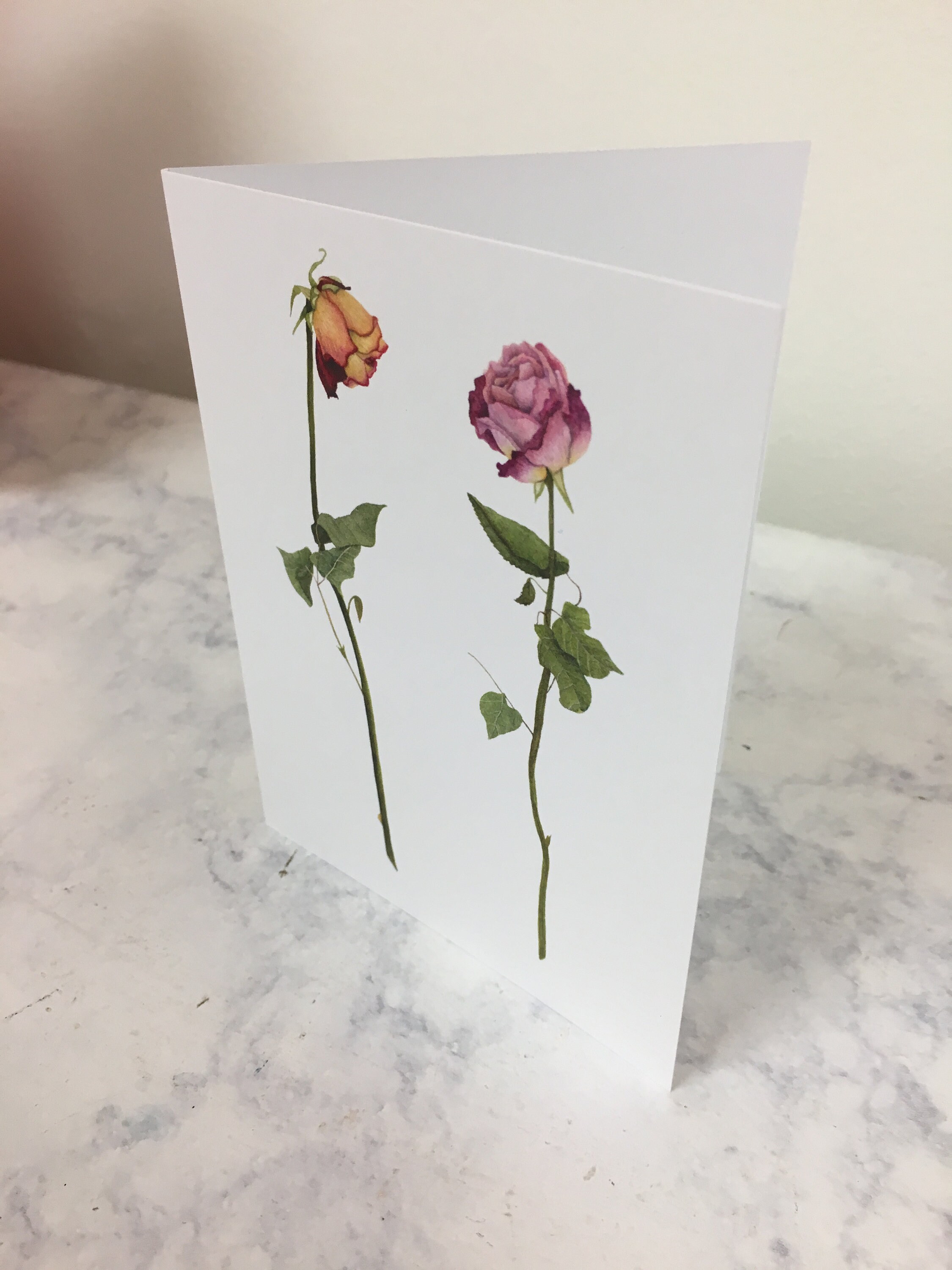 Floral Watercolor Rose Greeting Card | Roses Note Cards | Blank Flower ...