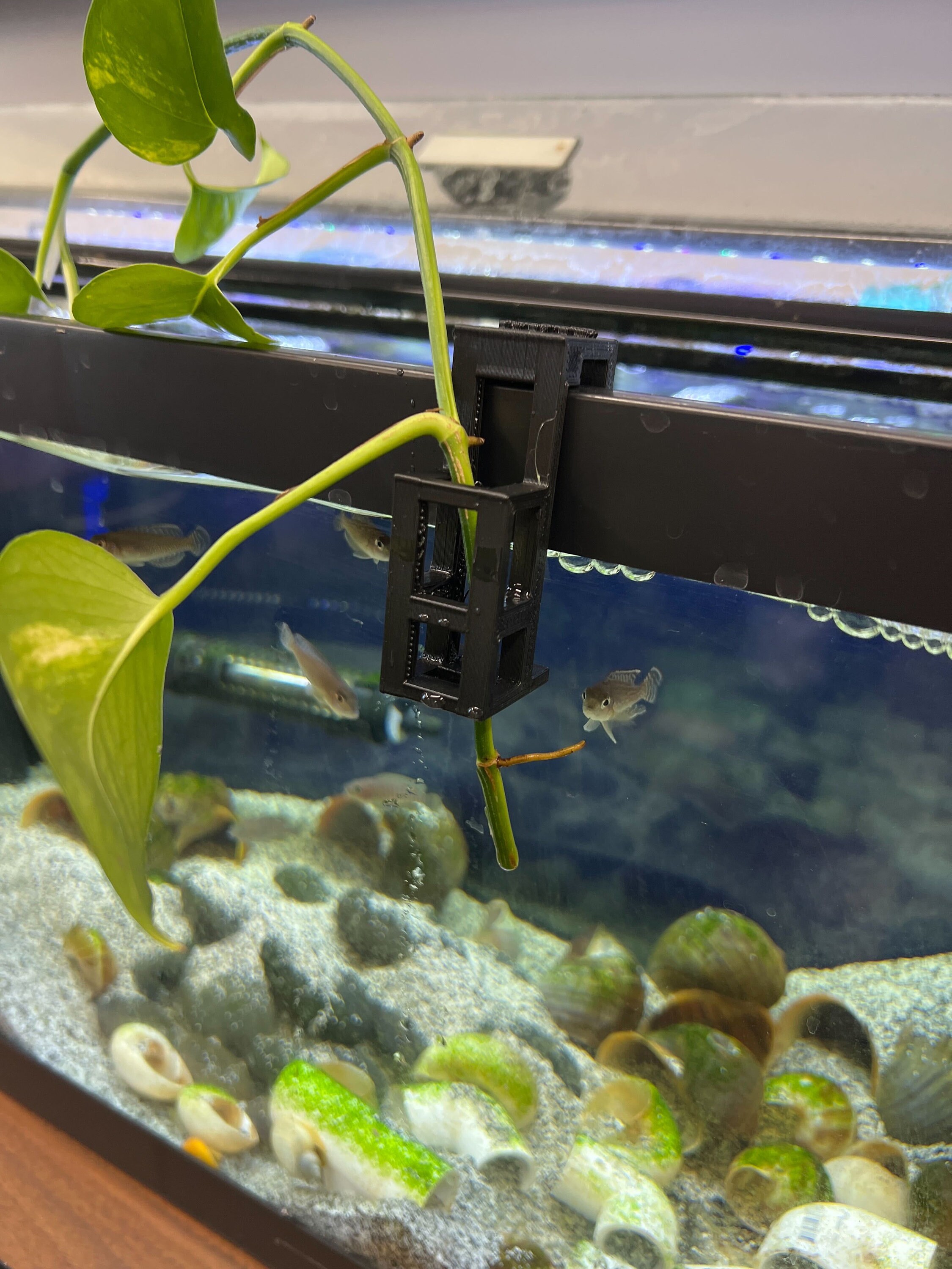fish tank plant holders