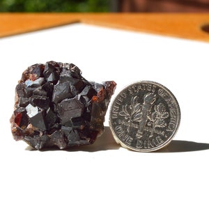 May include: A dark red, brown, and black crystal cluster with a shiny, glassy finish. The crystal cluster is about the size of a US dime.