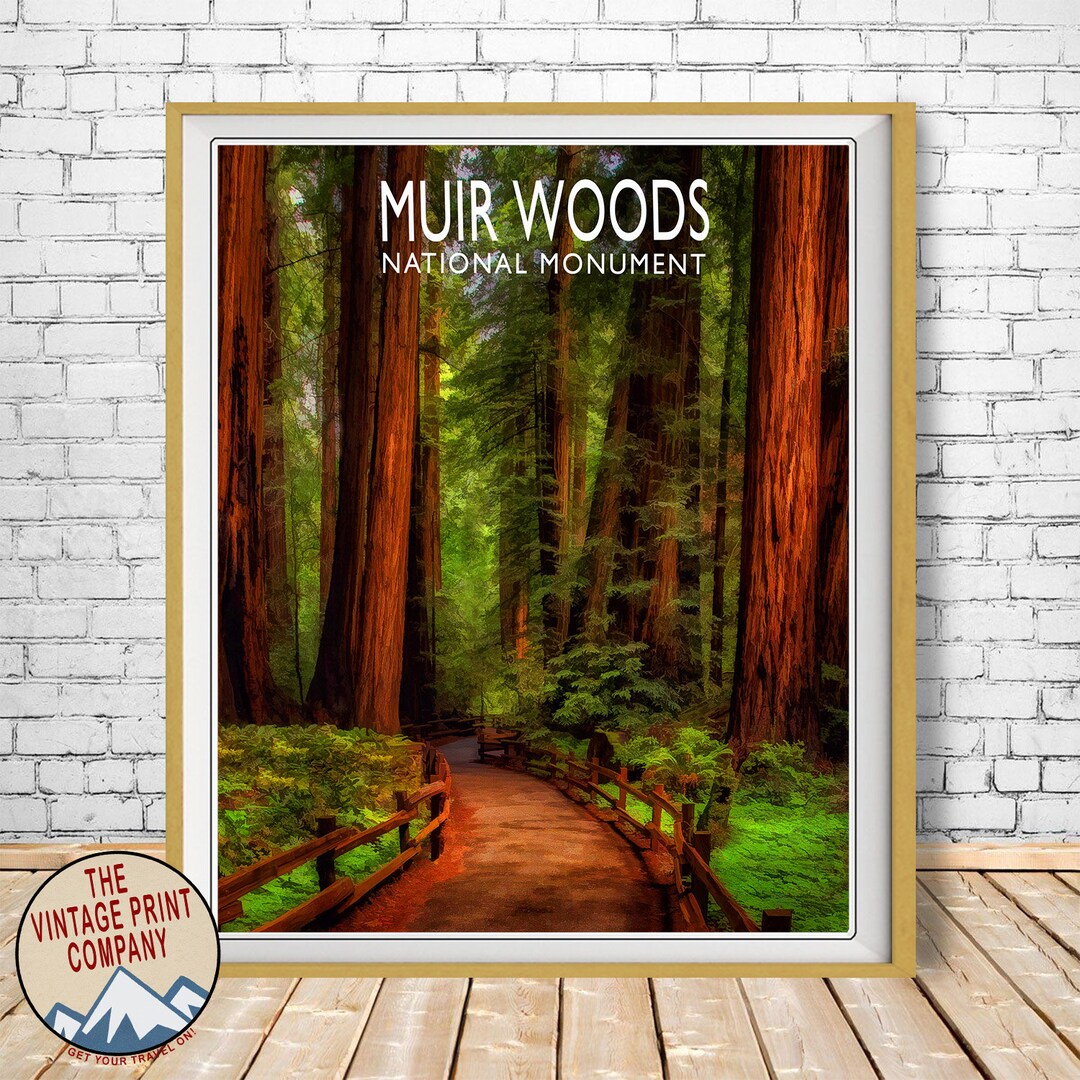 Muir Woods Poster, Muir Woods Print National Park Print, California