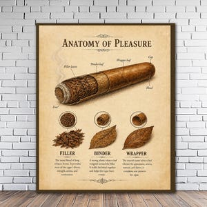 May include: A vintage-style educational poster titled Anatomy of Pleasure, featuring a detailed diagram of a cigar. It illustrates the filler, binder, and wrapper components with labels and descriptive text on a beige background with brown borders.
