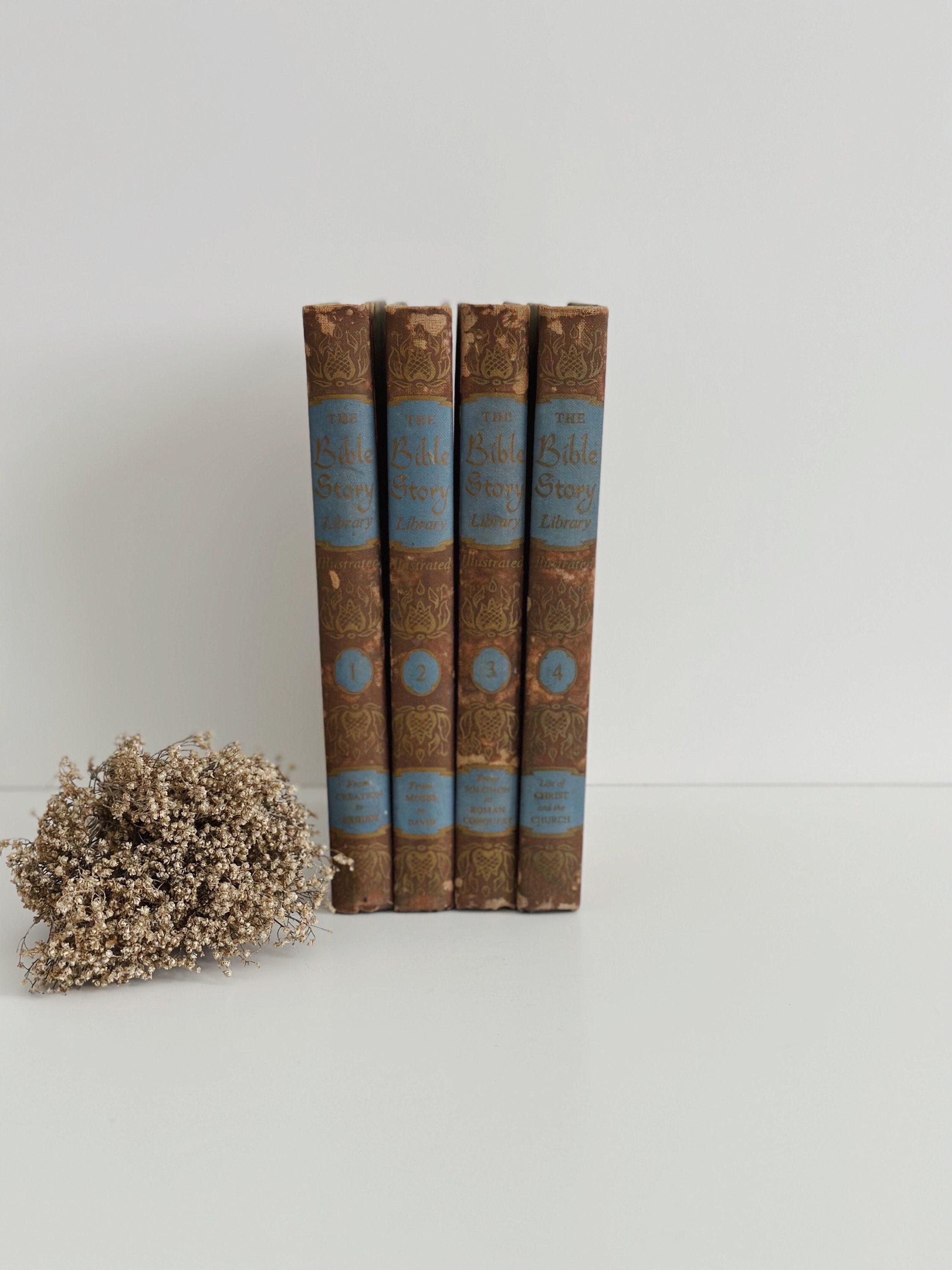 聖書の物語 絵本セット ヴィンテージイラスト入り聖書物語絵本セット - 1956年 エデュケー