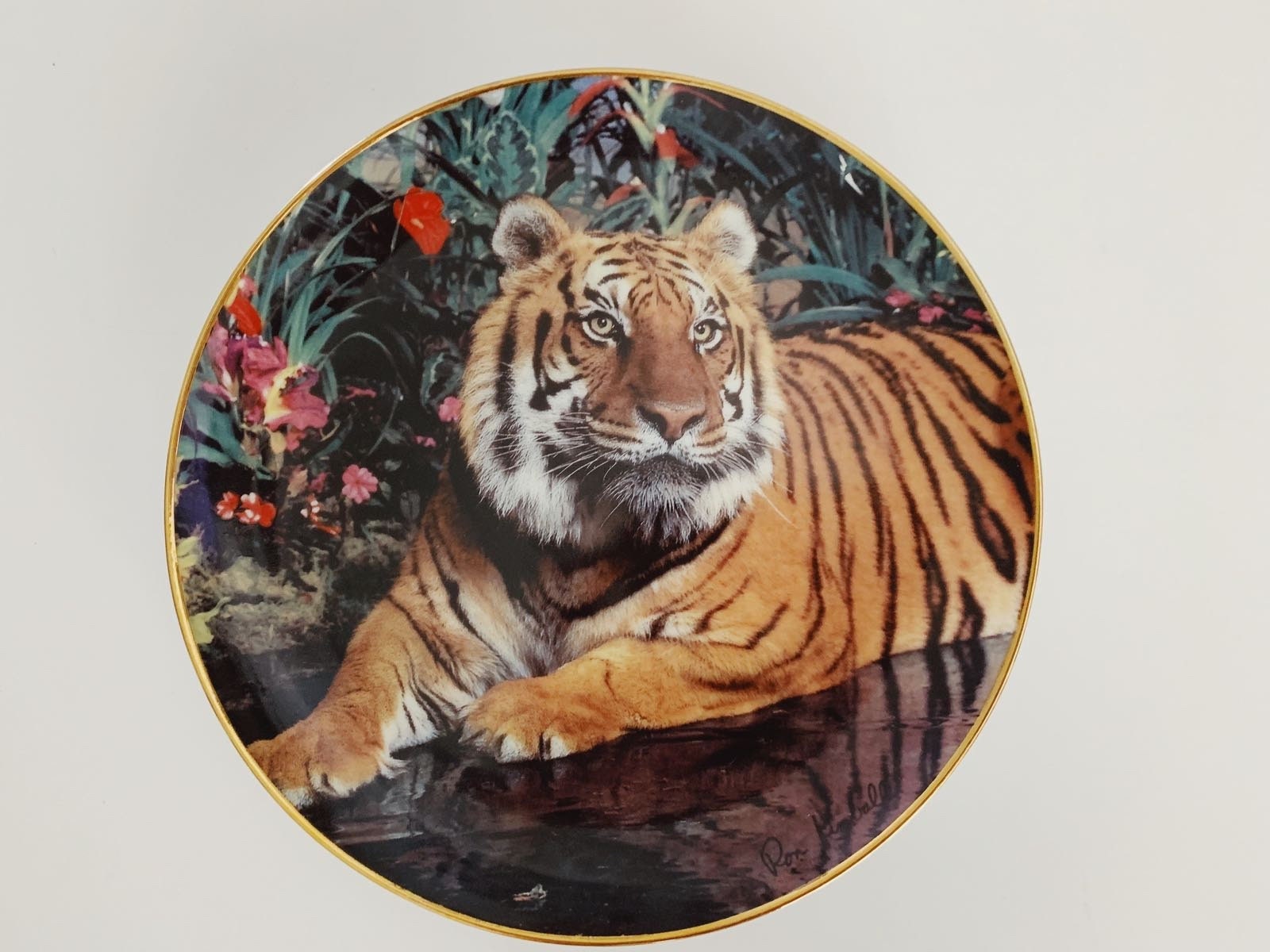 Scarlett ann tiger