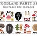 Birthday Photo Booth Props Printable Party Props Forest Animal Themed ...