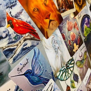 K&ouml;nnte beinhalten: Ein Set farbenfroher Orakelkarten mit verschiedenen Bildern, darunter ein Kardinal, ein L&ouml;we, ein Kolibri, ein Traumf&auml;nger und ein Tempel. Die Karten tragen Titel wie "Kardinal", "Spirituell", "Perspektive", "Traum" und "Tempel".