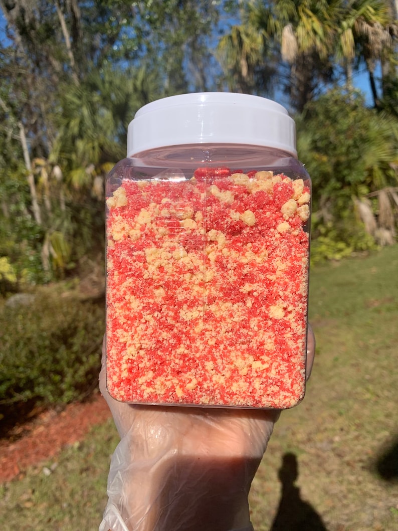 Puede incluir: Un recipiente de pl&aacute;stico transparente y rectangular con tapa blanca, lleno de migas rojas y beige. El recipiente se sostiene en una mano enguantada sobre un fondo borroso verde y azul.
