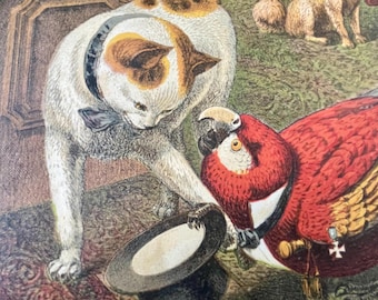Estampados animales antropomórficos victorianos, estilo Grandville, juego de 10