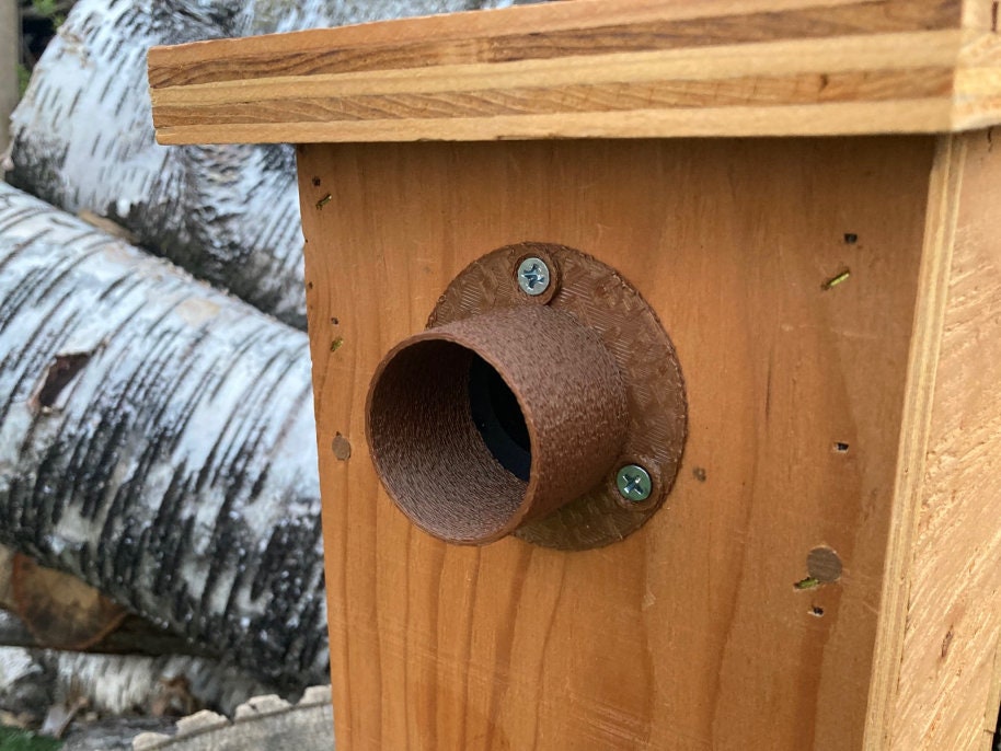 Birdhouse Predator Guard 1-1/2 Bluebirds / House | Etsy