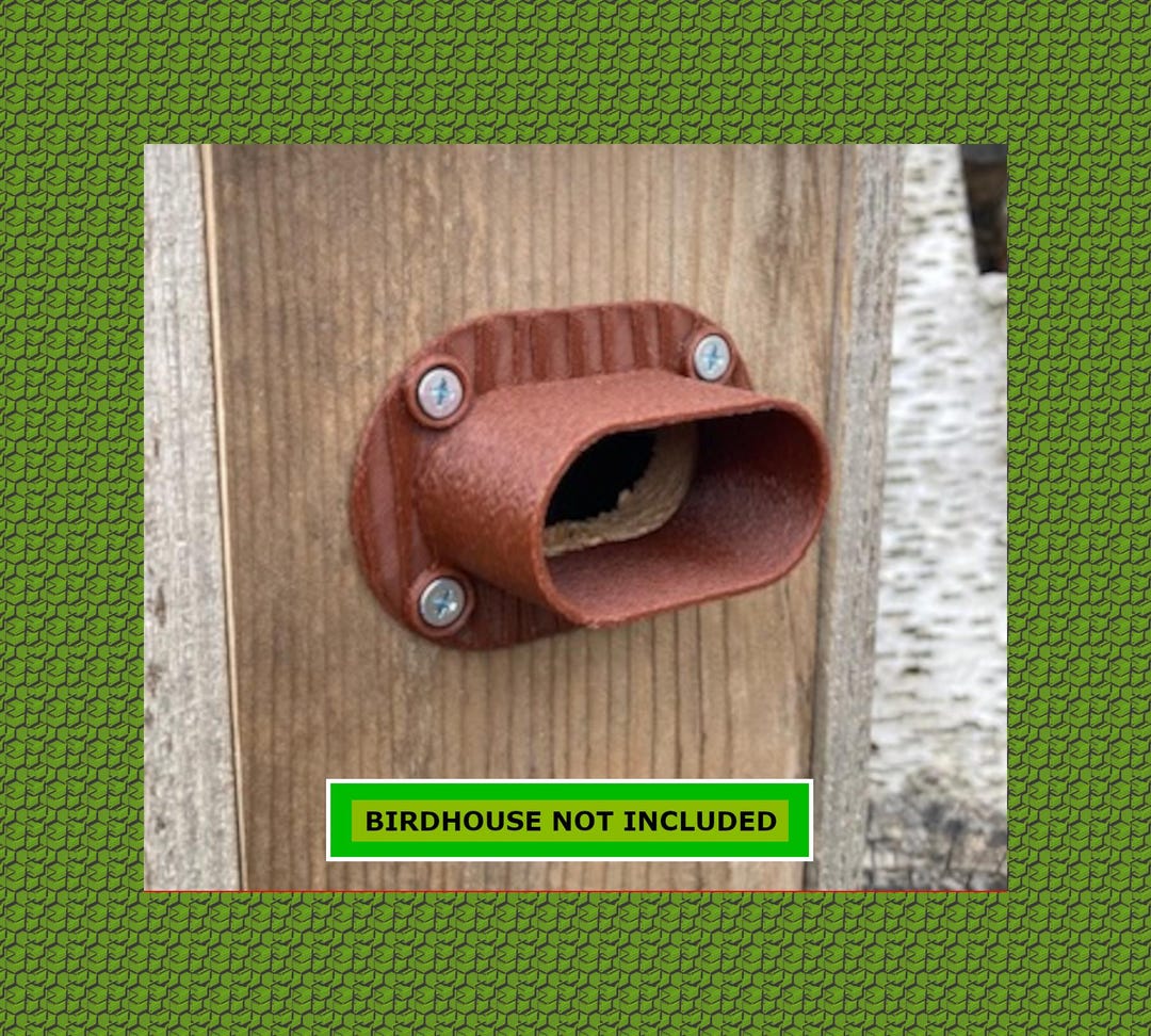 Tree Predator Guard NEW DESIGN - Oval Predator Guard Tree Swallow 1-1/8