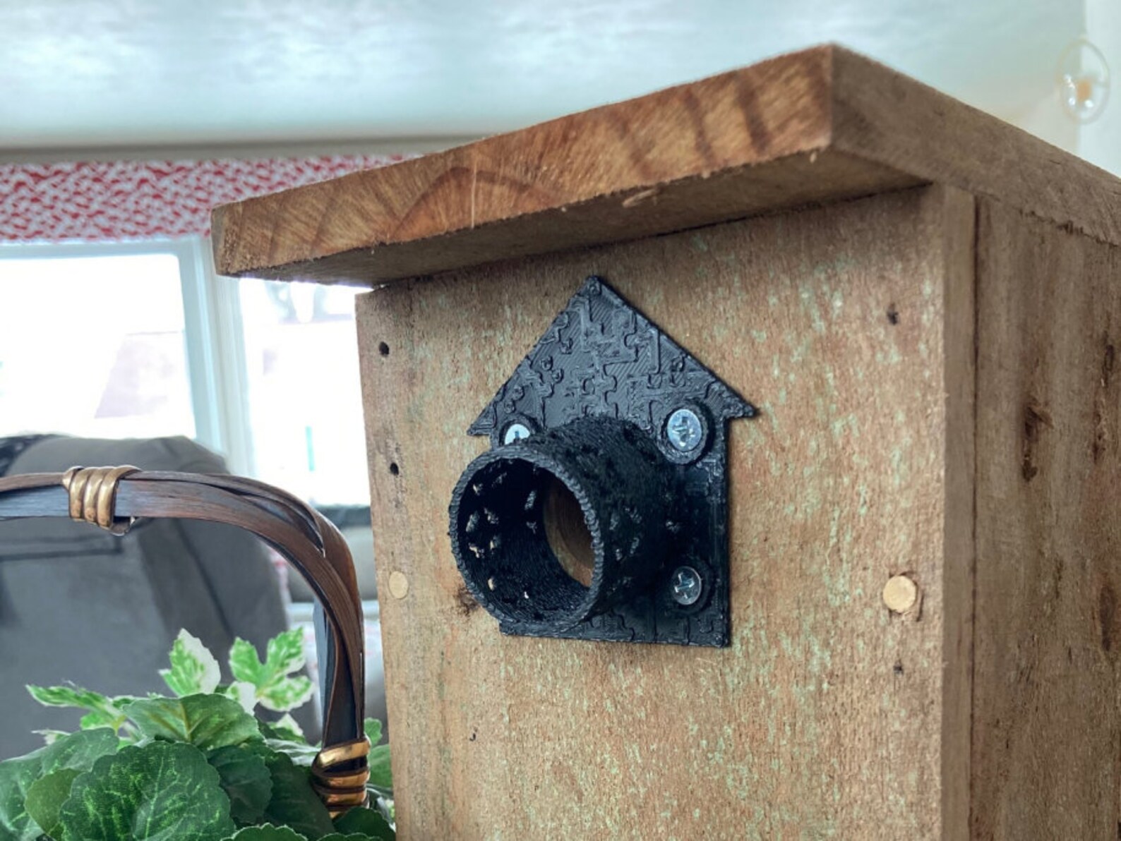 Perforated Birdhouse Predator Guard 11/8 Chickadees / Etsy