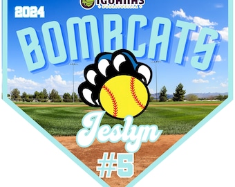 Custom Baseball Banner | Softball Banners | Little League Banners | Little League Pennants | Baseball Flags | Team Banner | *CUSTOM*