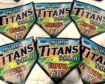 Custom Little League Baseball/Softball Vinyl Banners, Flags, Pennants, Home Plate Shape *FREE HOOKS*