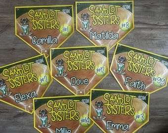 Custom Baseball Banner | Softball Banners | Little League Banners | Little League Pennants | Baseball Flags | Team Banner | *CUSTOM*