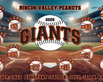 48”x30” Custom Team Baseball | Softball Banner *FREE SHIPPING*