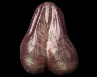 ストレスティクルズ！睾丸ストレスボールの靴下詰め物