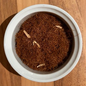 Könnte beinhalten: Eine weiße Keramikschale gefüllt mit braunem, faserigem Material, möglicherweise getrockneten Pflanzenfasern. Mehrere kleine, hellfarbige Stücke sind in der Schale verstreut und kontrastieren mit den dunkleren Fasern. Die Schale steht auf einer Holzoberfläche.