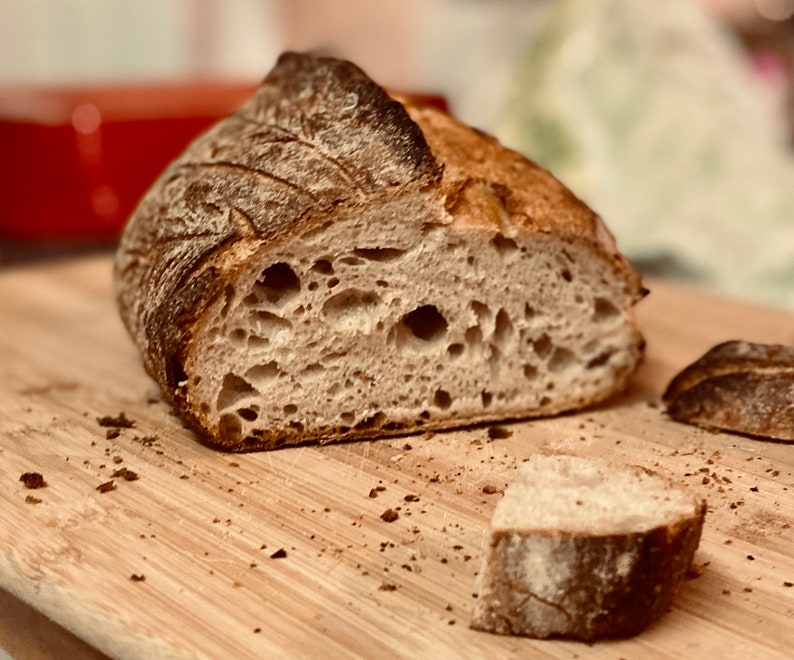 Organic Spelt Sourdough Starter Etsy