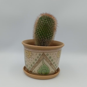 Könnte beinhalten: Eine kleine Kakteenpflanze in einem Terrakotta-Topf mit handbemaltem Design. Der Topf hat ein braunes, gelbes und grünes Muster mit Wirbeln und Punkten. Der Topf hat eine passende Untertasse.