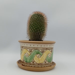 Op de afbeelding: Een groene cactusplant in een terracotta pot met een decoratief groen, geel en bruin ontwerp. De pot heeft een bijpassende schotel.