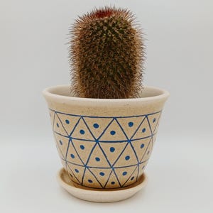 Op de afbeelding: Een kleine cactusplant met bruine stekels in een crèmekleurige keramische pot met een blauw geometrisch patroon. De pot heeft een bijpassende schotel.