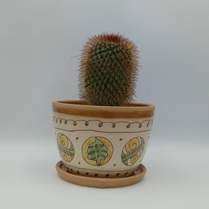 May include: A brown ceramic planter with a white background and a decorative design of green leaves and yellow swirls. A small cactus plant is growing in the planter.