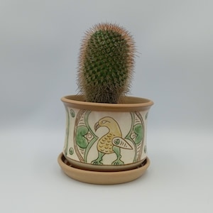 May include: A ceramic planter with a green, brown and yellow bird design. The planter has a matching saucer and is holding a green cactus.