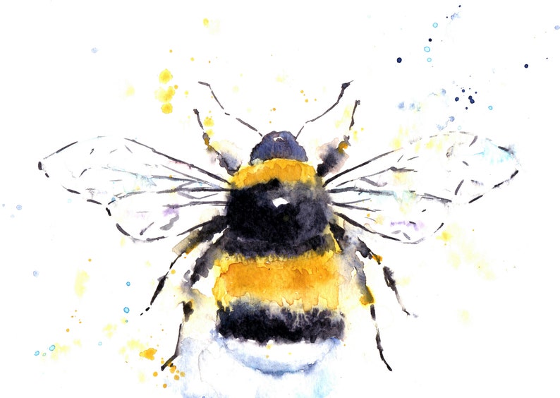 Puede incluir: Pintura acuarela de un abejorro con rayas amarillas y negras, alas y un cuerpo peludo. La abeja est&aacute; pintada sobre un fondo blanco con salpicaduras de acuarela amarilla y azul.