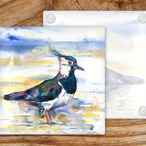 May include: A watercolor painting of a black and white bird with a long, pointed beak standing on a sandy beach. The bird has a blue and green body with a white chest and a black head. The background is a watercolor wash of blue and yellow.