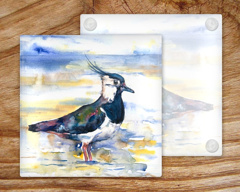May include: A watercolor painting of a black and white bird with a long, pointed beak standing on a sandy beach. The bird has a blue and green body with a white chest and a black head. The background is a watercolor wash of blue and yellow.