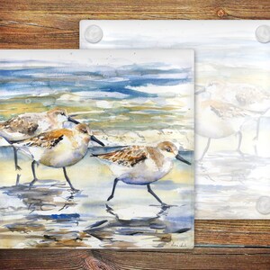 May include: Three sandpipers, painted in watercolor, stand on a sandy beach with blue water in the background. The birds are brown, white, and gray with long legs and beaks. The painting is on a glass coaster.