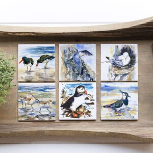 May include: Six square ceramic coasters with watercolor paintings of various birds. The coasters feature a puffin, a seagull, a black-and-white bird with a long beak, two oystercatchers, and two sandpipers.